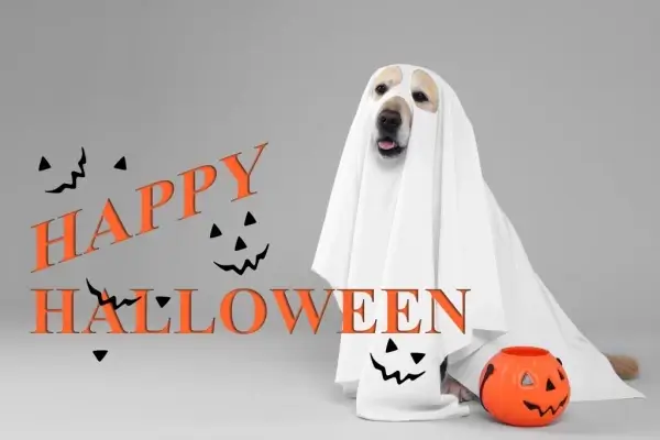 Happy Halloween from A&B Mortgage Services, LLC